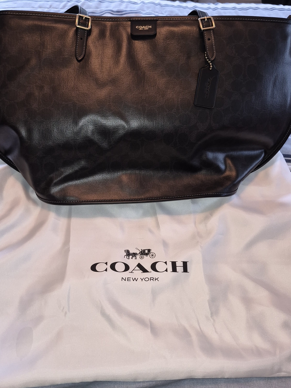 Coach Men's Large Black Signature Tote